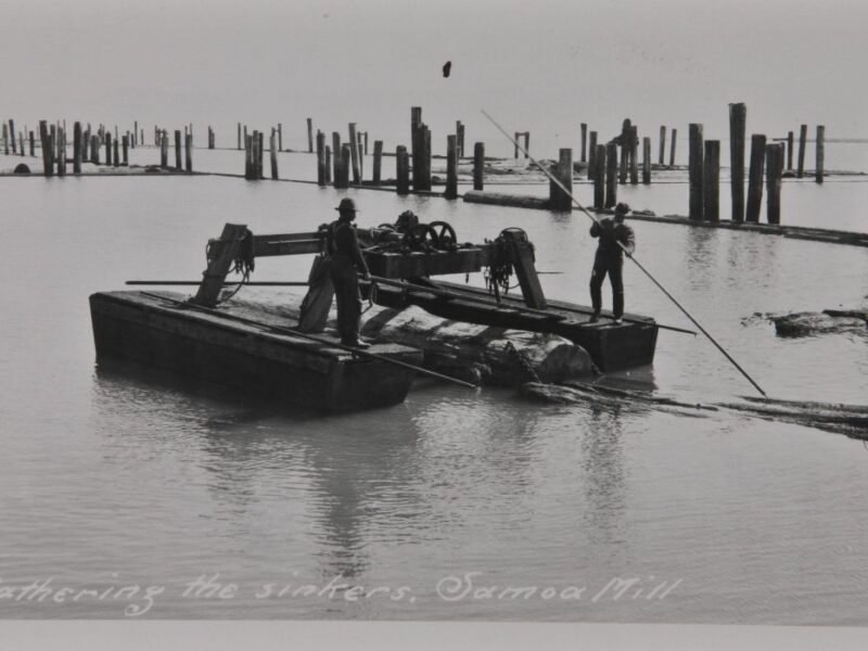 Historical black and white photo showing men on a flatboat, using long poles to maneuver logs in a waterway near Samoa Mill, with pilings in the background. Text reads Gathering the sinkers, Samoa Mill.