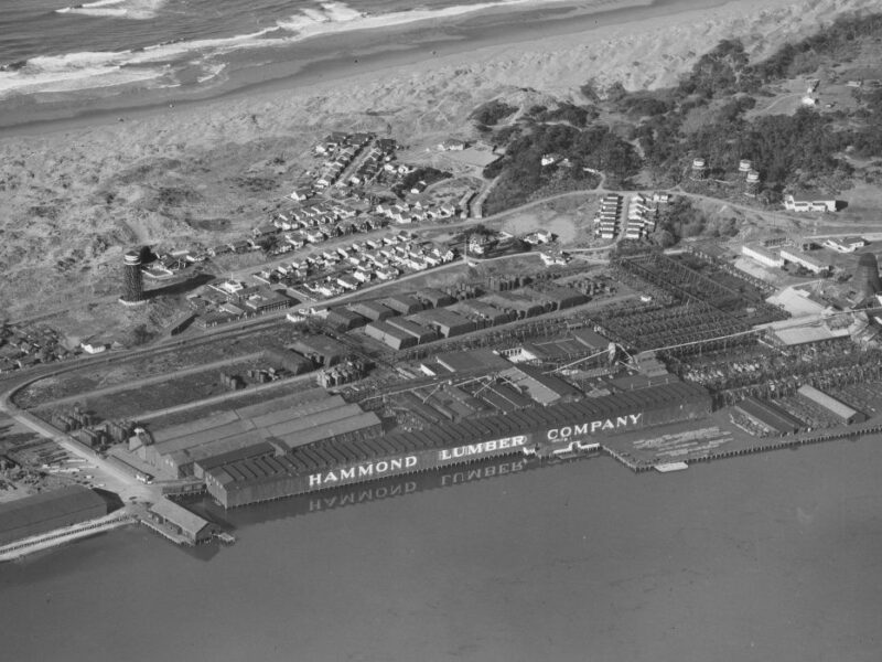 Aerial view of the Hammond Lumber Company, situated along a river with docked lumber. A small town and dense trees are nearby, bordered by a sandy beach leading to the ocean. The buildings feature industrial and residential structures.