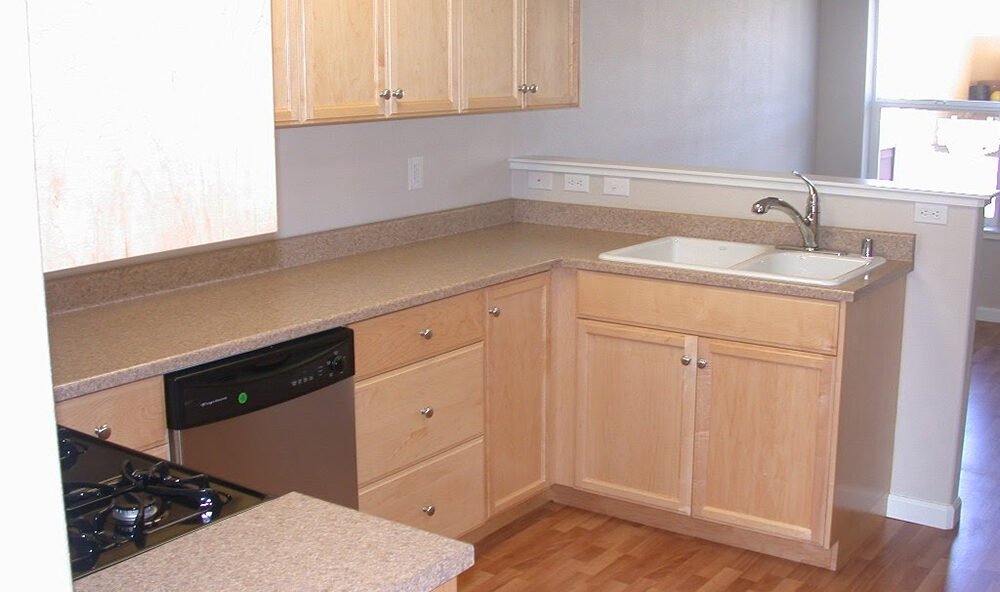 Modern kitchen with light wood cabinets, beige countertops, and a double sink. A stainless steel dishwasher is next to the sink, opposite a built-in gas stove. The room has light wood flooring and a small window in the background.