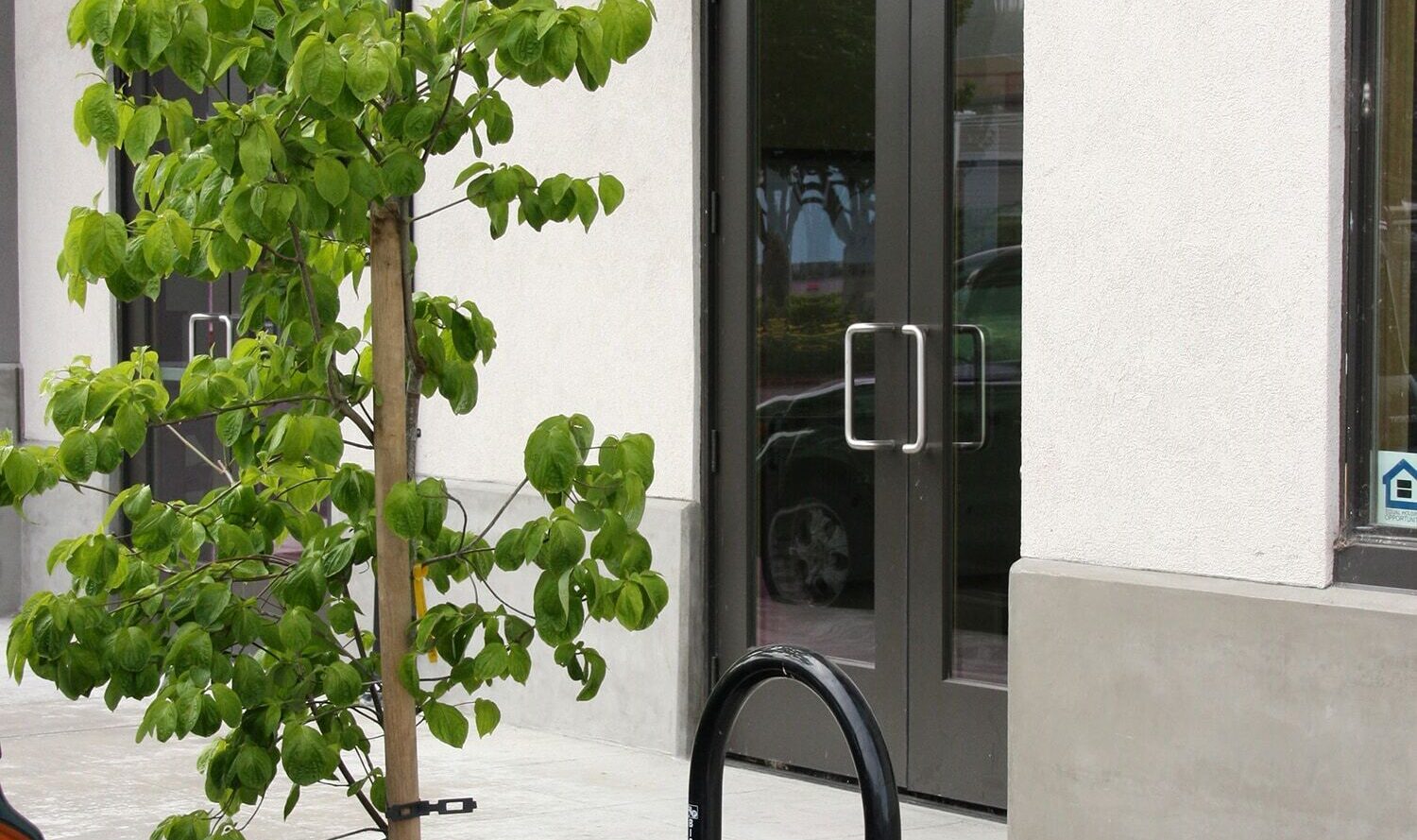 A small tree is planted on a sidewalk near a building entrance. A black bike rack is in front, and a red curb is partially visible. The building has glass double doors numbered 975, and a metal awning above.