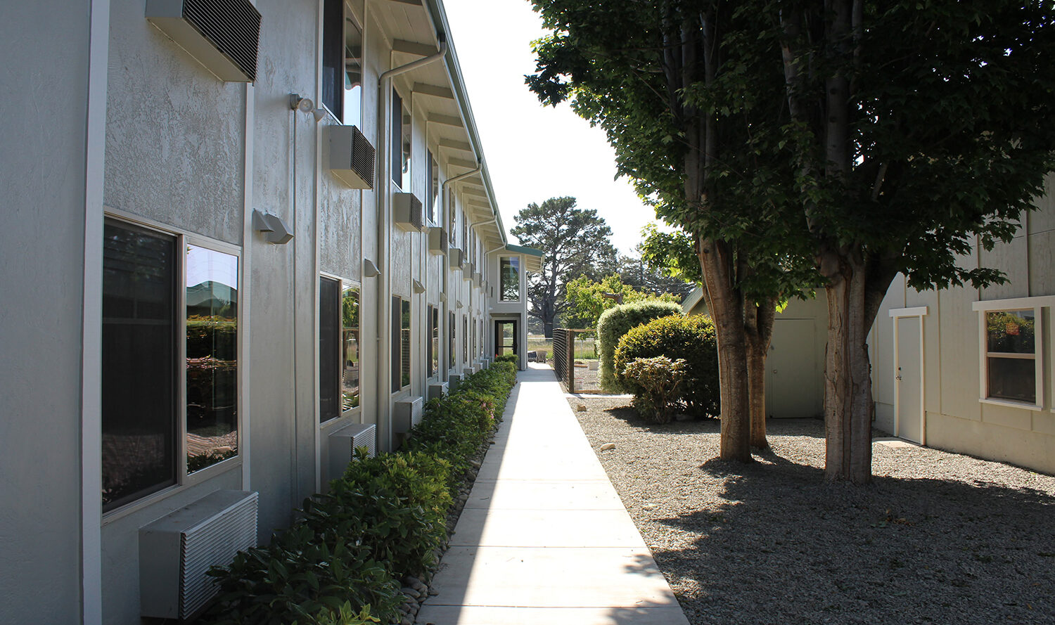 A sunlit pathway lined with shrubs runs alongside a two-story building with multiple windows. Trees provide shade to the right, while the buildings light-colored walls reflect the afternoon sun. The sky is clear.