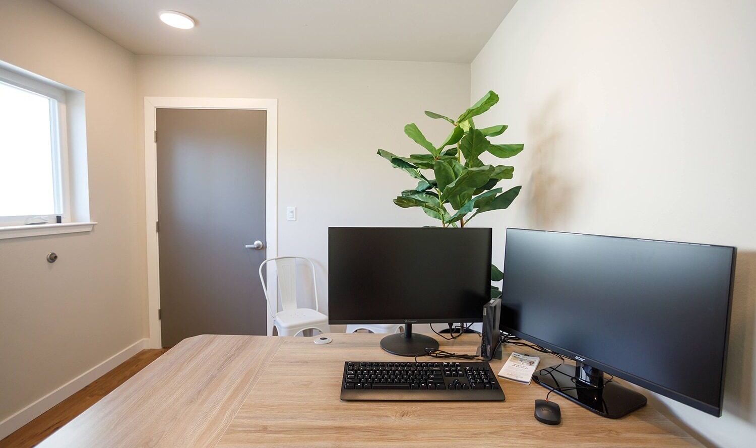 A minimalist home office setup with a wooden desk featuring two black monitors, a keyboard, and a small plant. Theres a white chair, a large potted plant in the corner, a closed door, and a window illuminating the space.