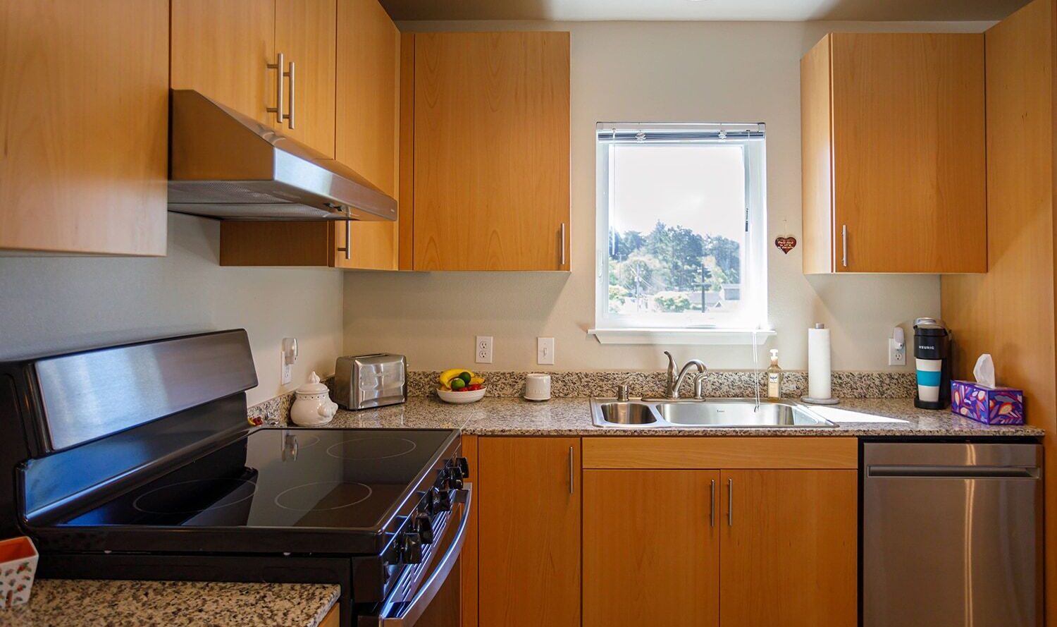 A modern kitchen with wooden cabinets, a granite countertop, and stainless steel appliances including a stove and dishwasher. A window above the sink offers a view of trees. A bowl of fruit and a coffee machine are on the counter.