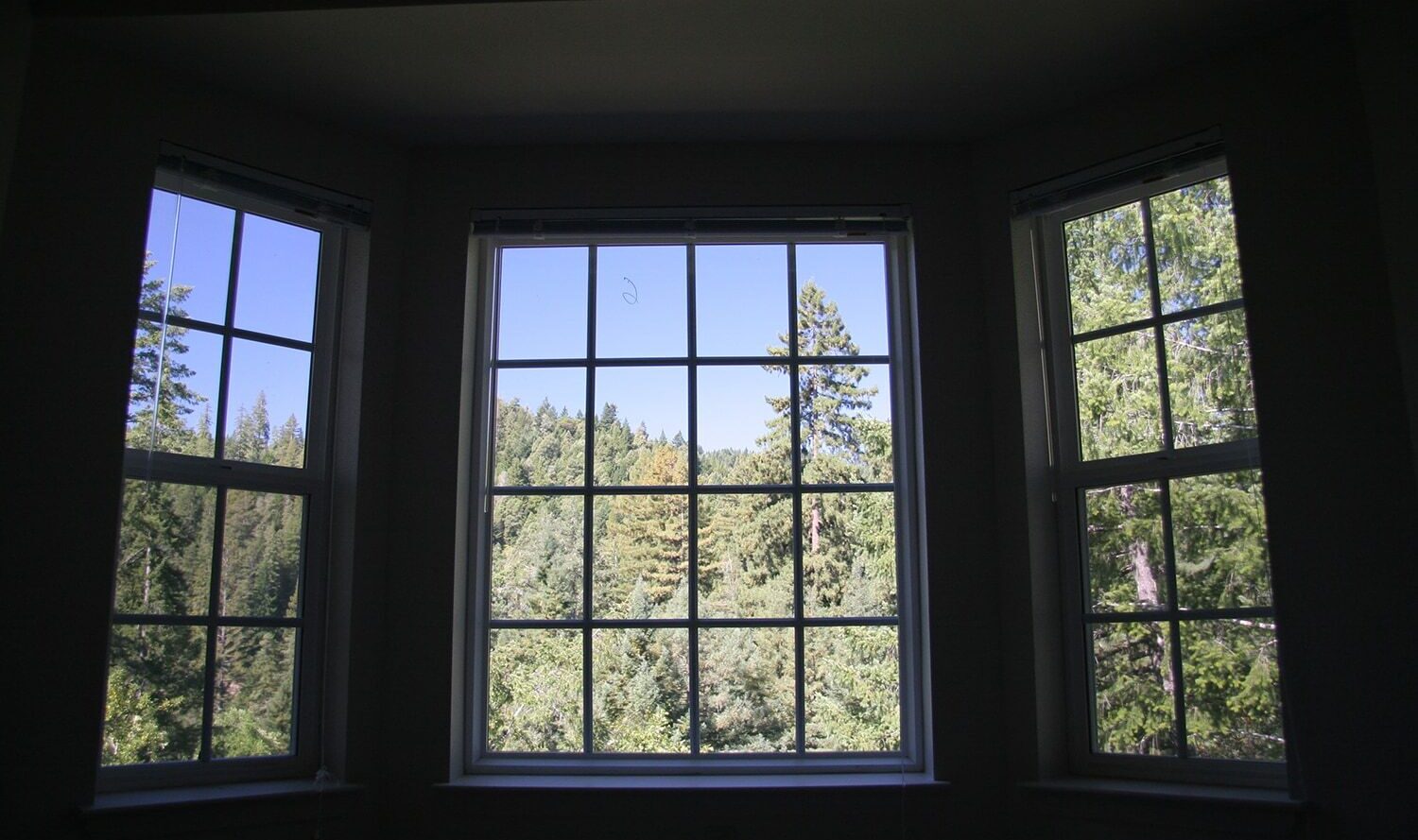 A large bay window with three sections shows a view of a forest, featuring tall pine trees and clear blue sky, seen from inside a dimly lit room.