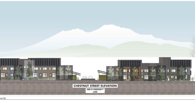 An architectural elevation of a residential complex shows multiple two-story buildings with varied façades. Trees are in the foreground, and a mountain is visible in the background. The design is labeled Chestnut Street Elevation.