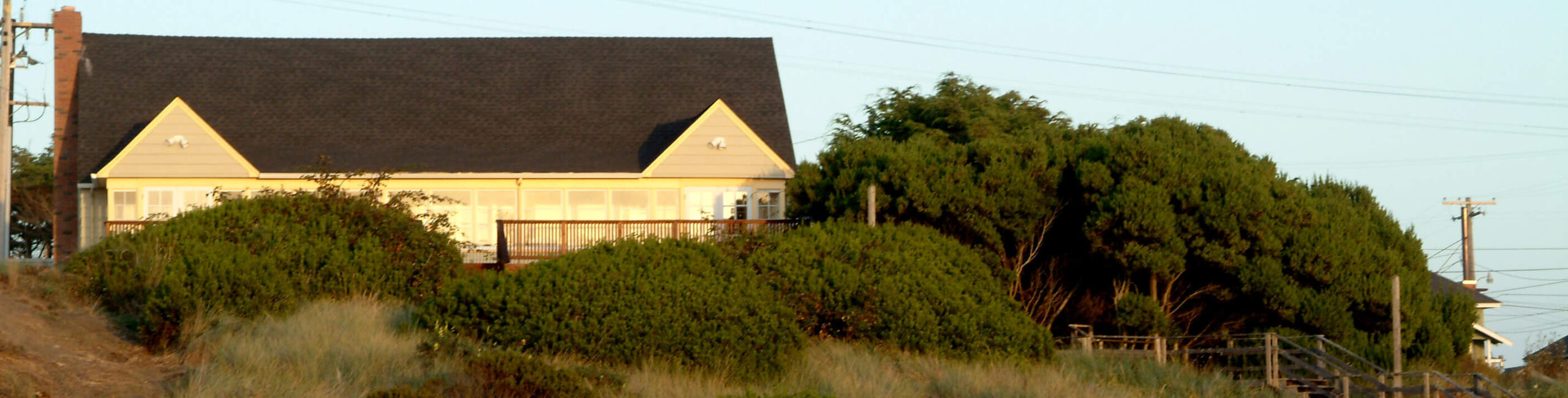 A house with a dark roof and light-colored walls is partially hidden by dense green shrubs and grasses. Its set against a clear blue sky, with power lines visible in the distance. The scene has a serene, coastal vibe.
